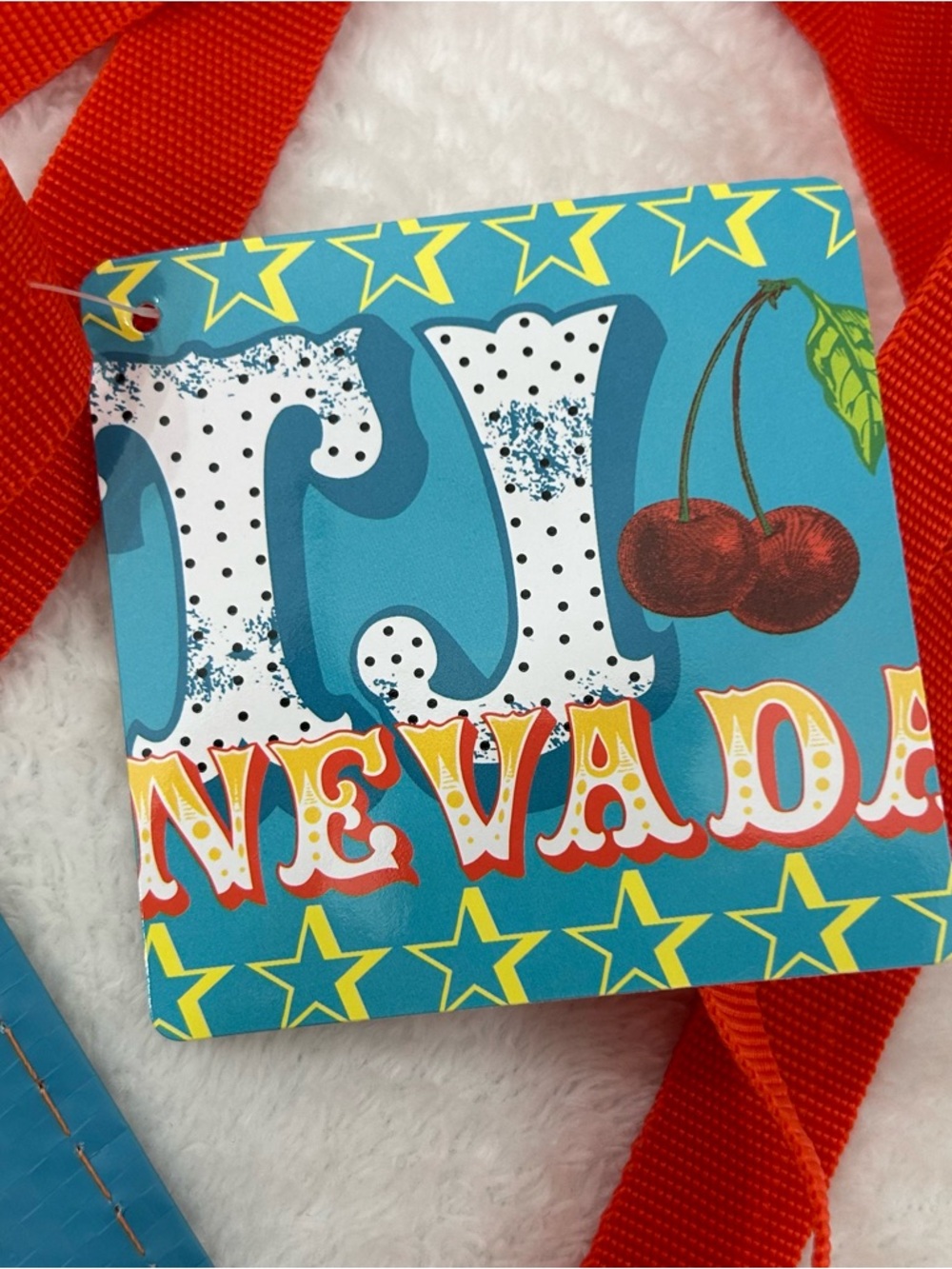 Trader Joe's Nevada 6 Gallon Reusable Grocery Tote Bag Limited Edition 16”x11” - Picture 3 of 10